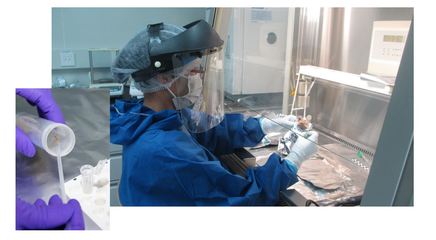 《科学》:大规模东亚南北方史前人类基因组分析结果首次正式发表